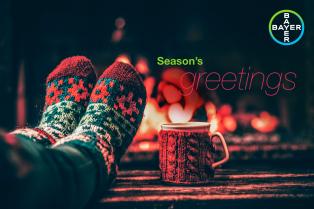 A pair of feet in colorful socks near a mug by a fireplace, with the text "Season's greetings" and a Bayer logo in the corner.