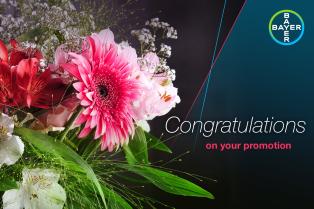 A bouquet of pink, red, and white flowers with green leaves. Text reads, "Congratulations on your promotion," with the Bayer logo in the top right corner.