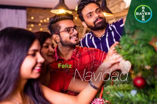 Feliz Navidad, Group of people decorate a Christmas tree