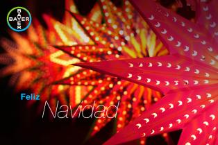 Feliz Navidad, colorful glowing stars
