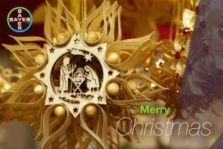 Merry Christmas, star with nativity motif