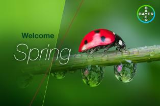 Welcome Spring