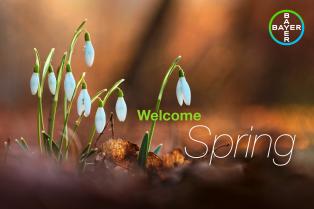 Welcome Spring