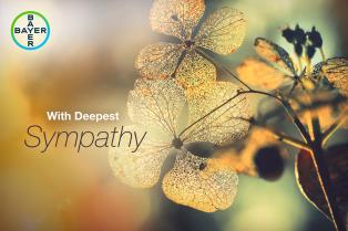 With Deepest Sympathy