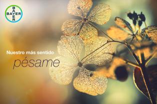 Nuestro más sentido pésame