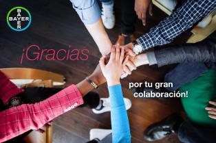 ¡Gracias por tu gran colaboración!