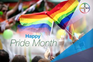 Happy Proud Month