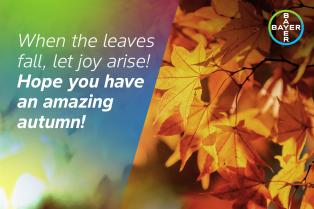 When the leaves fall, let joy arise! Hope you have an amazinh autumn!