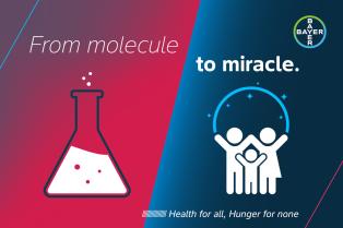 From molecule to miracle.